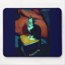 Rainbow lunch box kitty (neko) mousepads