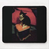 Rainbow lunch box kittyy (neko) mousepads
