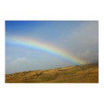 rainbow Ma alaea harbor maui posters