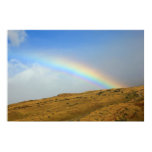 rainbow Ma alaea harbor maui posters