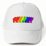 Rainbow Manx Hat