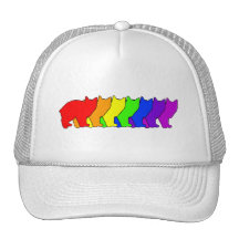 Rainbow Manx Hat