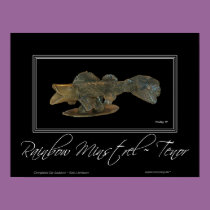 RAINBOW MINSTREL ~ TENOR posters