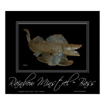RAINBOW MINSTRELS ~ BASS posters