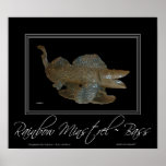 RAINBOW MINSTRELS ~ BASS POSTERS