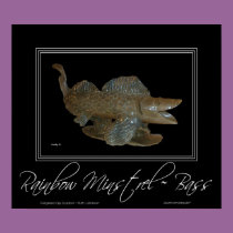 RAINBOW MINSTRELS ~ BASS posters