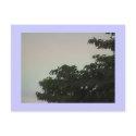 Rainbow Mist Postcard by sunsett76 Rainbow Mist Postcard