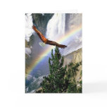 Rainbow Mountain Bald Eagle in Flight cards