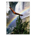 Rainbow Mountain Bald Eagle in Flight Card