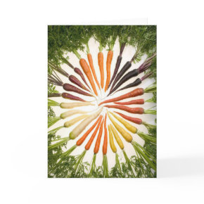 Rainbow Multicolored Carrots card