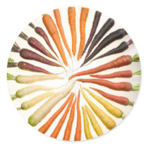 Rainbow Multicolored Carrots Stickers