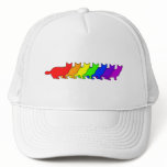 Rainbow Munchkin hats