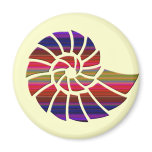 Rainbow Nautilus Shell Refrigerator Magnets