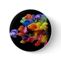 Rainbow of Parrotfish Pinback Button