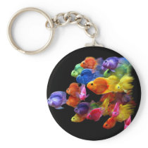 Rainbow of Parrotfish Key Chains
