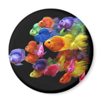 Rainbow of Parrotfish Fridge Magnets