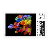 Rainbow of Parrotfish Stamp