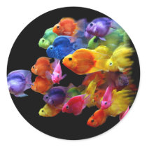 Rainbow of Parrotfish Round Sticker