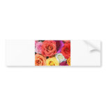 Rainbow of Roses Bumper Stickers