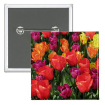 Rainbow Of Tulips Pins