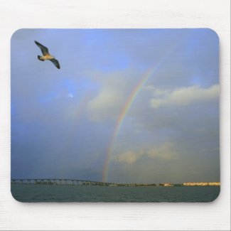 Rainbow over river bridge with seagull photo mousepad