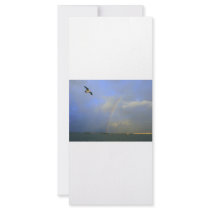 Rainbow over river bridge with seagull photo rack card