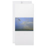 Rainbow over river bridge with seagull photo rack card