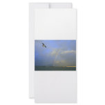 Rainbow over river bridge with seagull photo rack cards