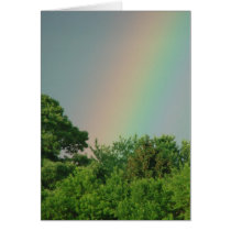 Rainbow Over The Trees Cards