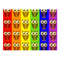 Rainbow Owls Postcard postcards