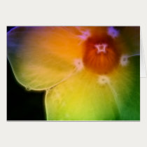 Rainbow Petal Dreams Card by naturespaintbox Rainbow Petal Dreams Card