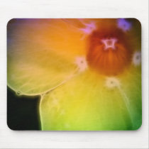 Rainbow Petal Dreams Mousepad by naturespaintbox Rainbow Petal Dreams Mousepad