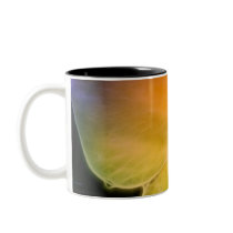 Rainbow Petal Dreams Mug mugs