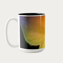 Rainbow Petal Dreams Mug by naturespaintbox Rainbow Petal Dreams Mug