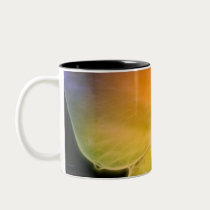 Rainbow Petal Dreams Mug