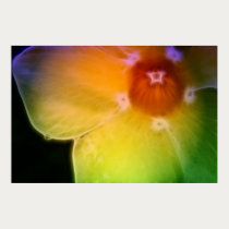 Rainbow Petal Dreams Poster posters by naturespaintbox Rainbow Petal Dreams Poster posters