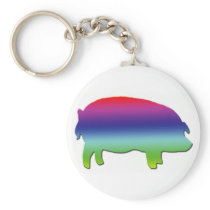 Rainbow Pig keychains