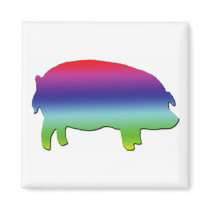 Rainbow Pig magnets