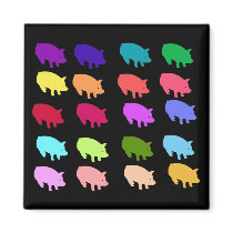 Rainbow Pigs Fridge Magnet