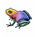 Rainbow Poison Dart Frog Tshirts