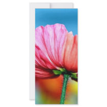 rainbow poppy rack cards