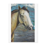 Rainbow Post Cards