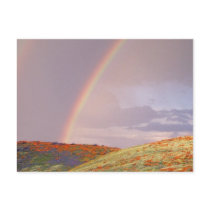 Rainbow Postcard