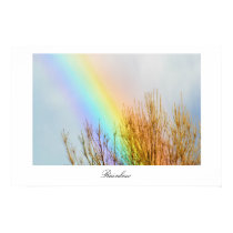 Rainbow posters