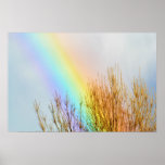 Rainbow Print Rainbow Print