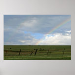 "Rainbow Prairie" posters