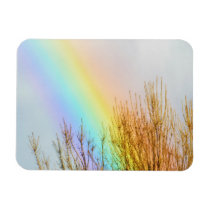 Rainbow premium magnets