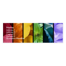 Rainbow Pride Profile Card Business Cards