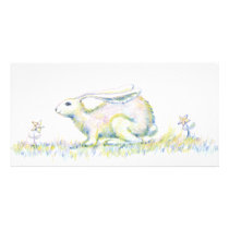 Rainbow Rabbit photo cards by Beautiful_Things Rainbow Rabbit photo cards