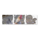 Rainbow Rooster Bumper Sticker